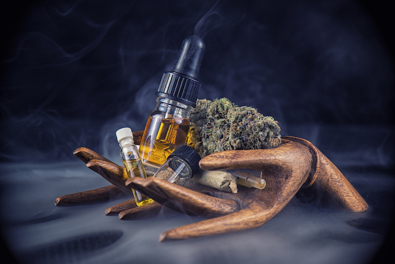 The Cannabis CBD Mania