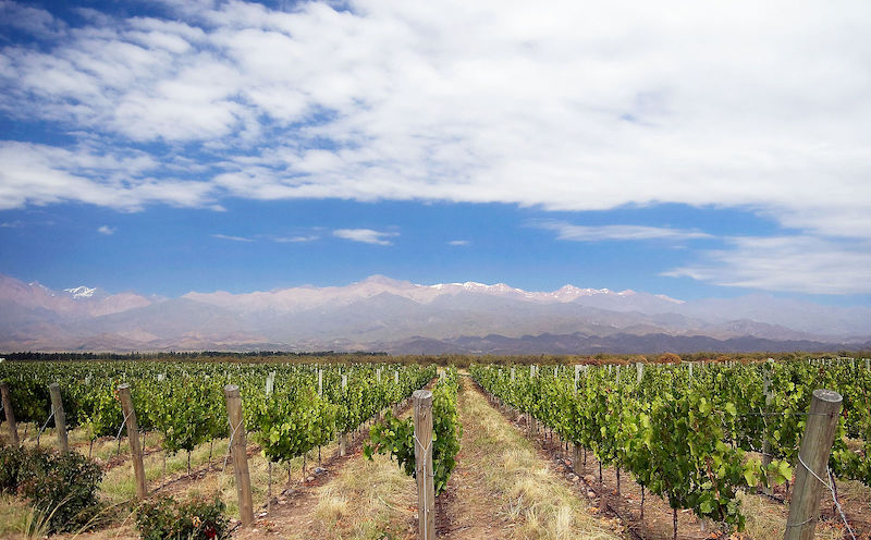 Uco Valley Mendoza Argentina. Source: Wikimedia Commons