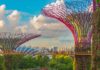 5 Best Trendy Places to Visit in Singapore in 2019