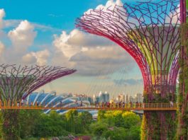 5 Best Trendy Places to Visit in Singapore in 2019