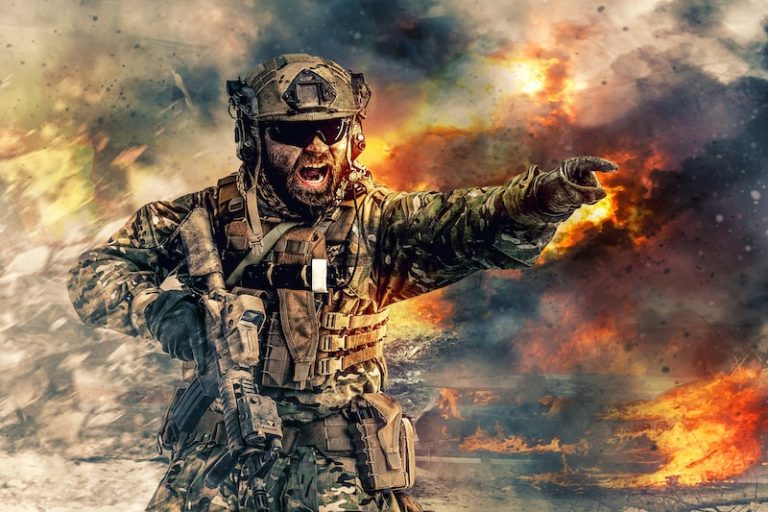 What is the Total Number of Soldiers in the World?