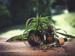 Top 5 Cannabis CBD Companies in 2020