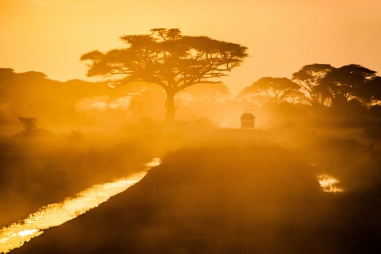 How to Invest in Africa