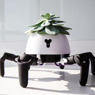 The Hexa Smart Plant Pot