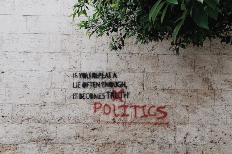 The Alternative for Politics