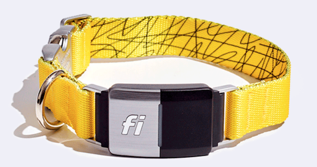 Fi Smart Dog Collar