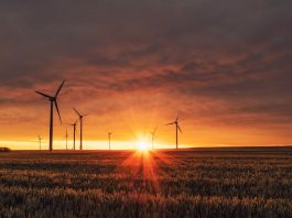 Is 2021 Going to be the Year of the Clean Tech Sector?