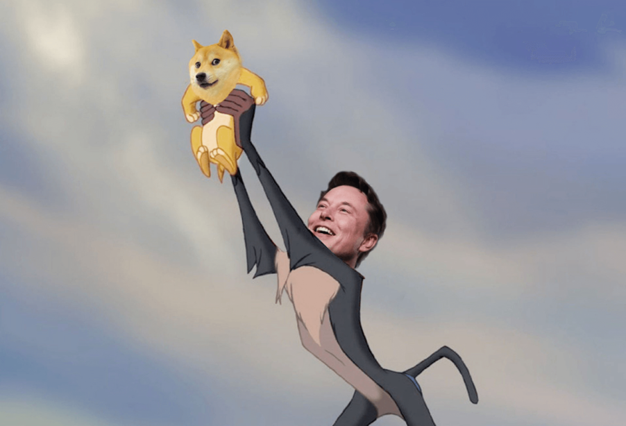 Elon Musk Dogecoin