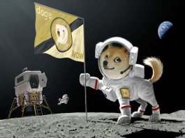 “Doge to the Moon”: How a Crypto Created for Joke Became so Popular