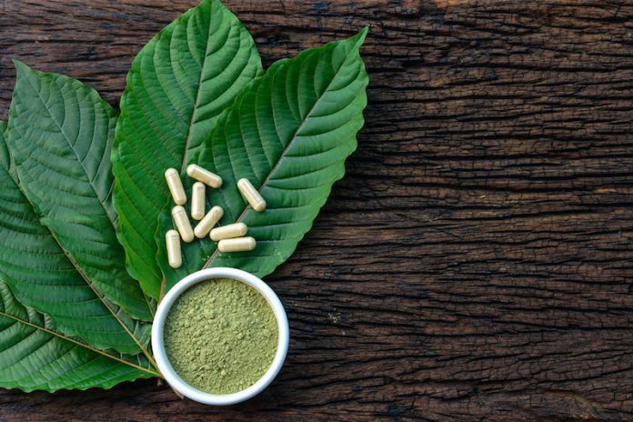 Kratom Consumption Tips For New Users