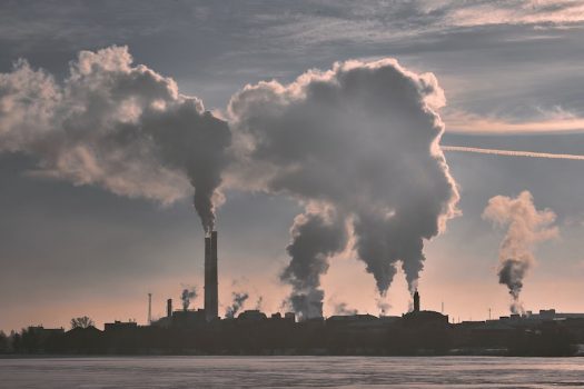 Coal and Gas vs Burning Wood - Which is Worse for Climate Change?