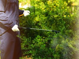 Signs You Need To Contact A Professional To Get Rid Of Pests