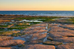 The Future of Algae-Based Bio-Plastic - Good or Bad?