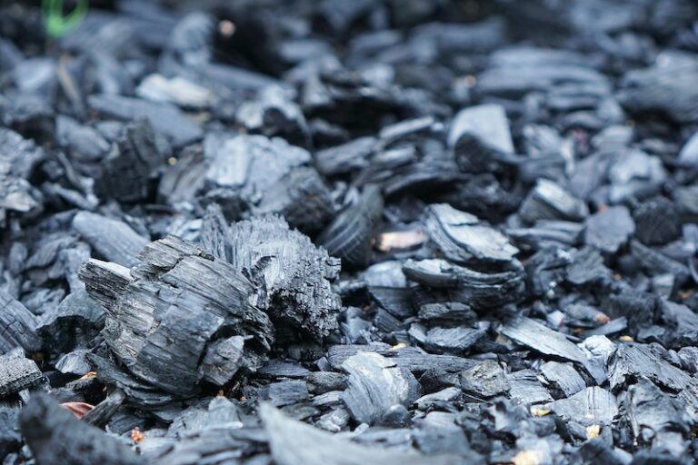 biochar