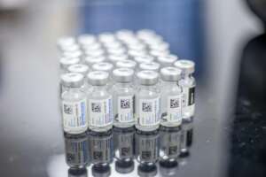 Pfizer Stock: What the Fundamentals Actually Say