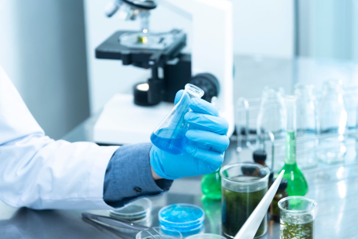 Evogene Stock (EVGN): Cheap and Falling — Buy Opportunity?